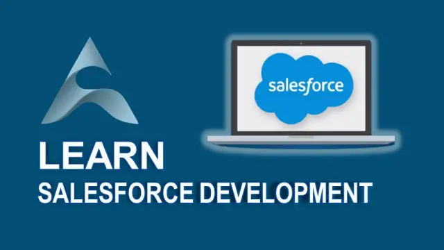 Salesforce Developer